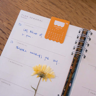 Agenda Perpetua Midnight Garden