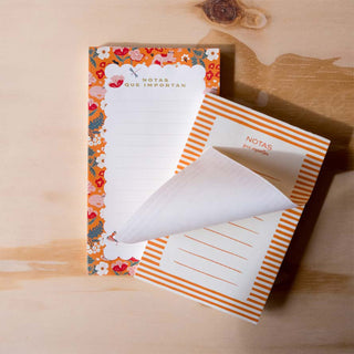 Bundle Notas Importantes